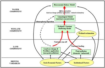 Achieving cleaner water for UN sustainable development goal 6 with natural processes: Challenges and the future